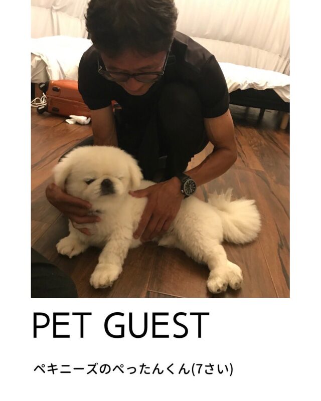 はち✨ ニューオープン！！ グランピングコテージエリアのご紹介